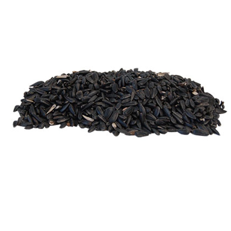 BestNest Black Oil Sunflower Seed 25 lbs